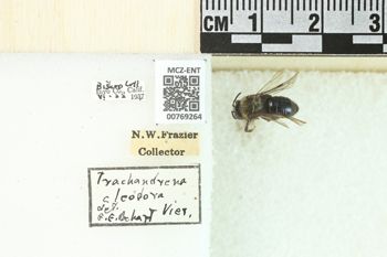 Media type: image;   Entomology 769264 Aspect: Labels